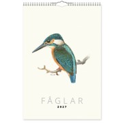 Kalender Fåglar 2027 almanacka